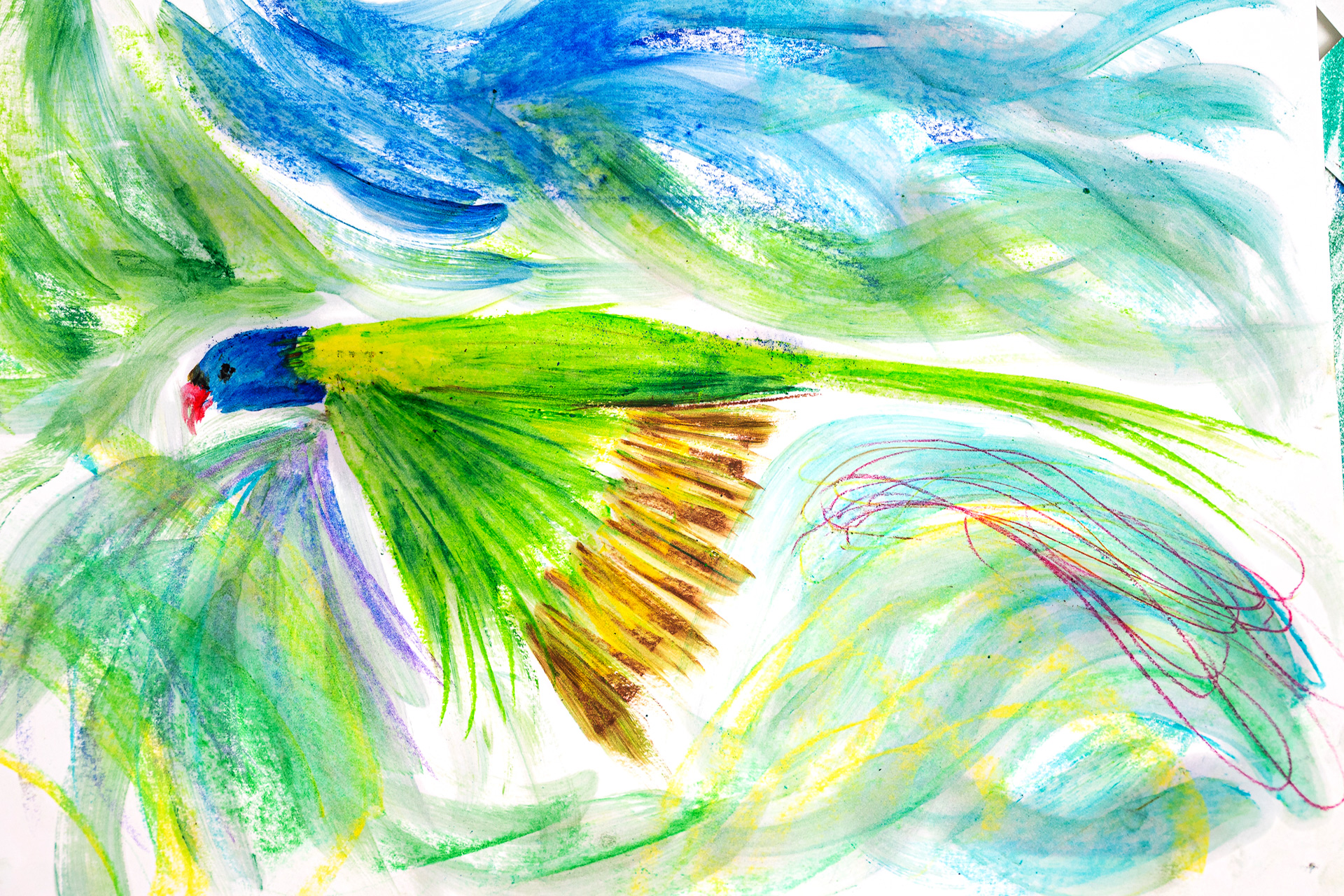 Australian Birds 2 Mixed Media with Kylie Wickham