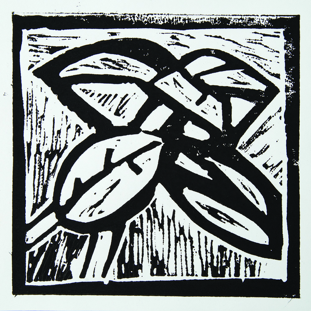 Lino Print Books ZartArt