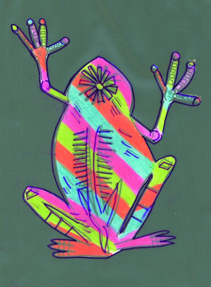 animal x rays term 4 2007 zartart