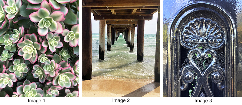 Example of Art Elements & Principles in Photography Ipad Photography Step4 Elements 1 2 3 800x349