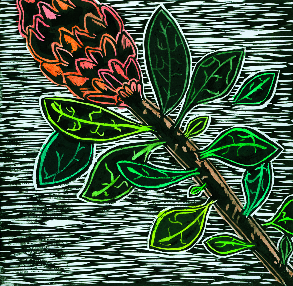 Lino Prints Inspired by the work of Margaret Preston ZartArt